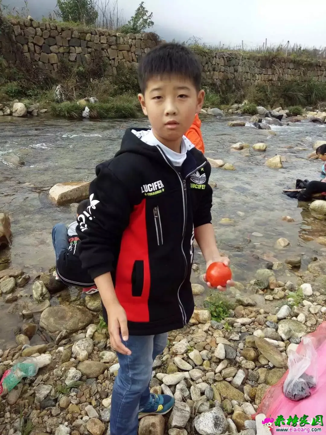 172531hnju41jh385cd01d.webp