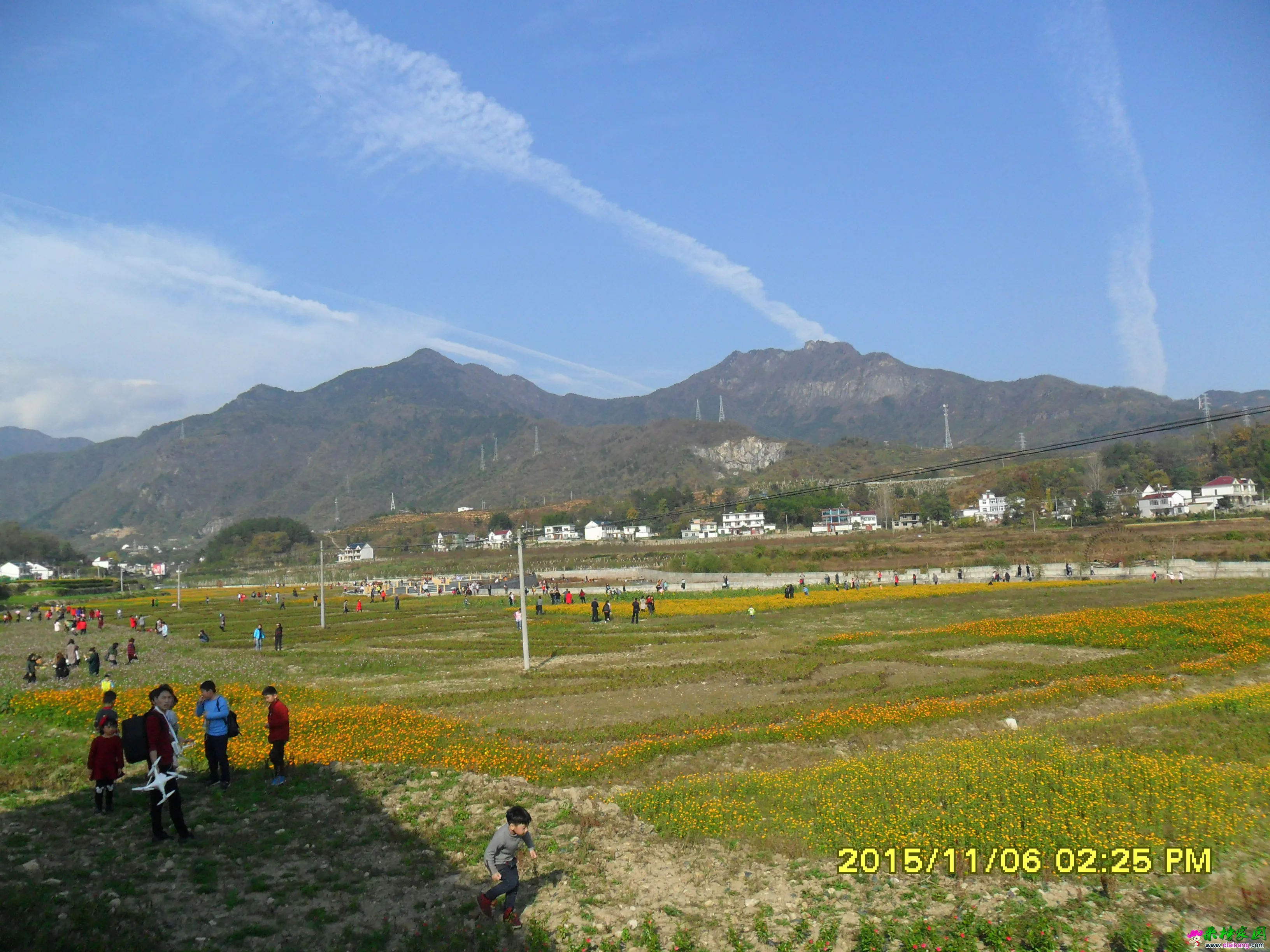 SAM_2385.webp