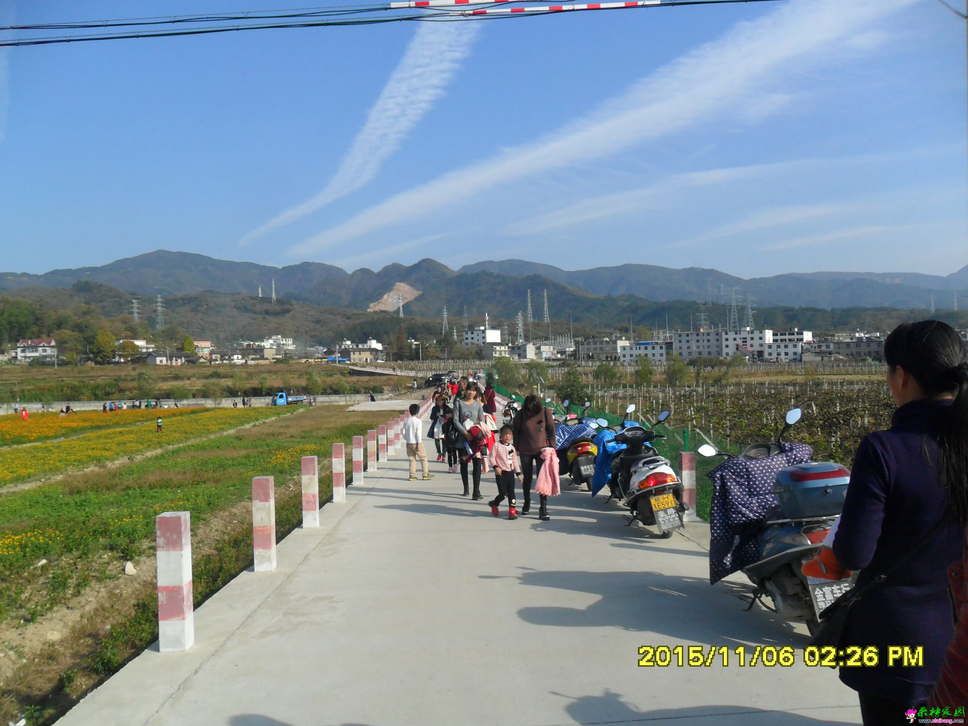SAM_2387.webp