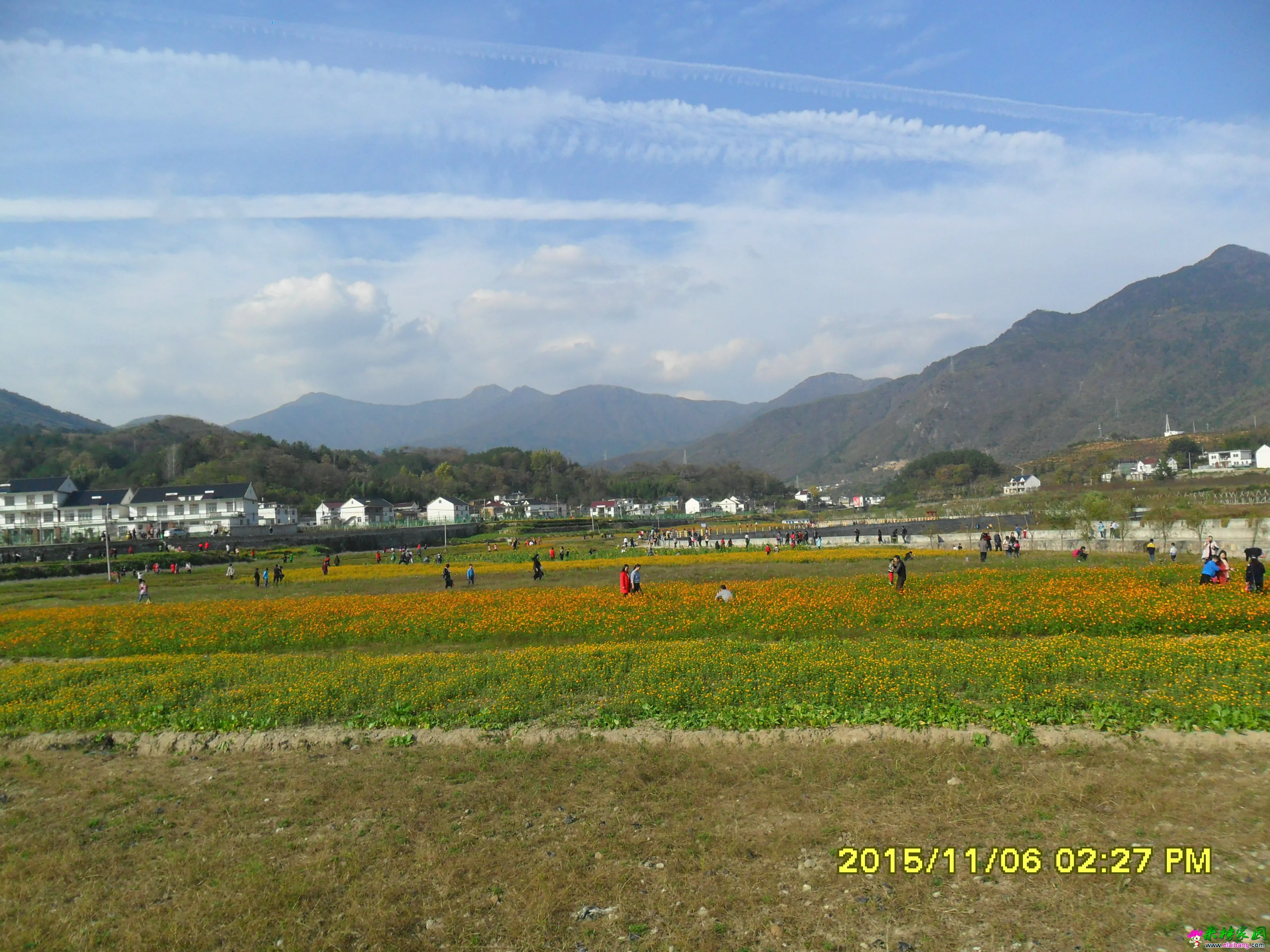 SAM_2389.webp