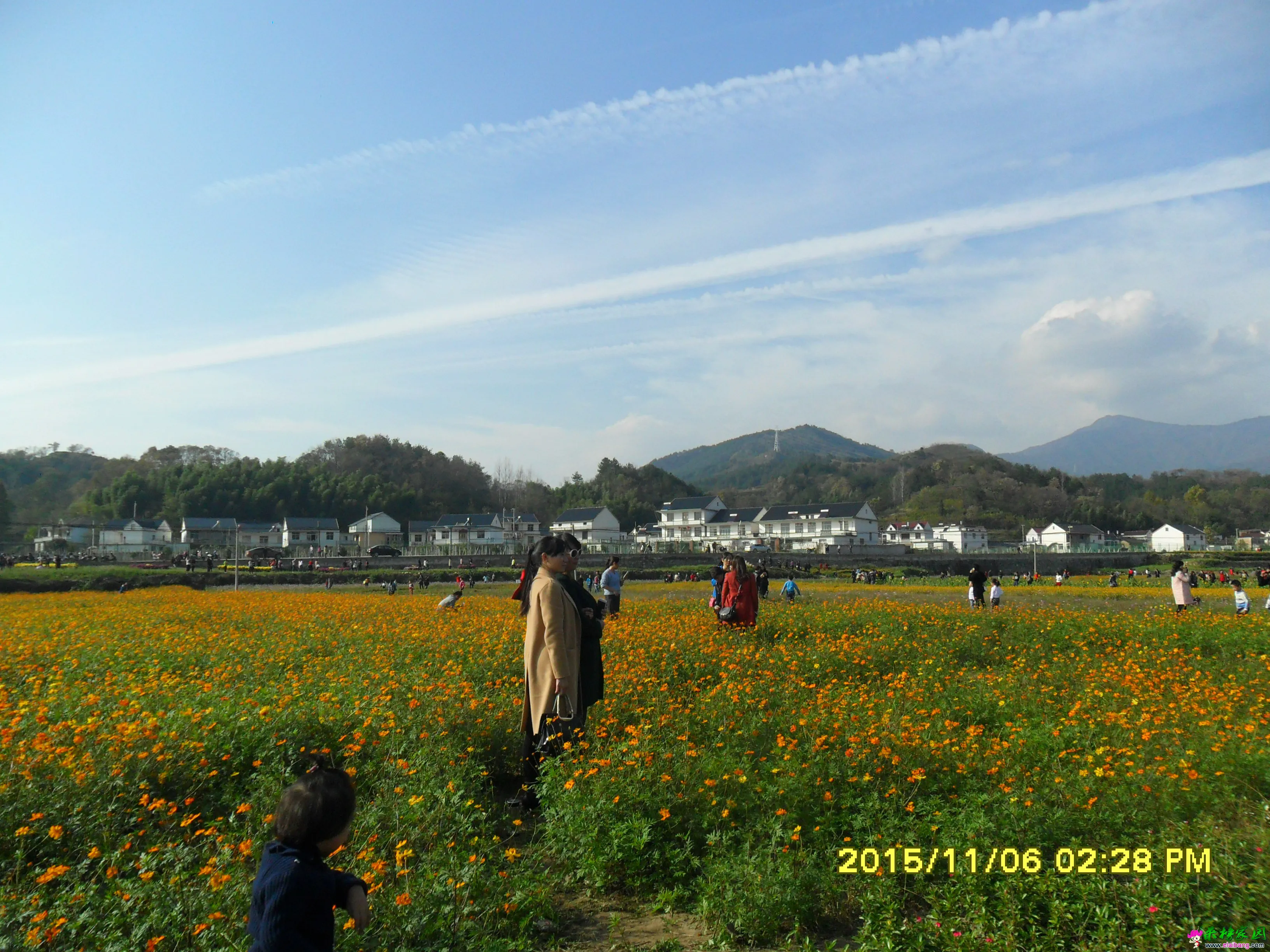 SAM_2390.webp
