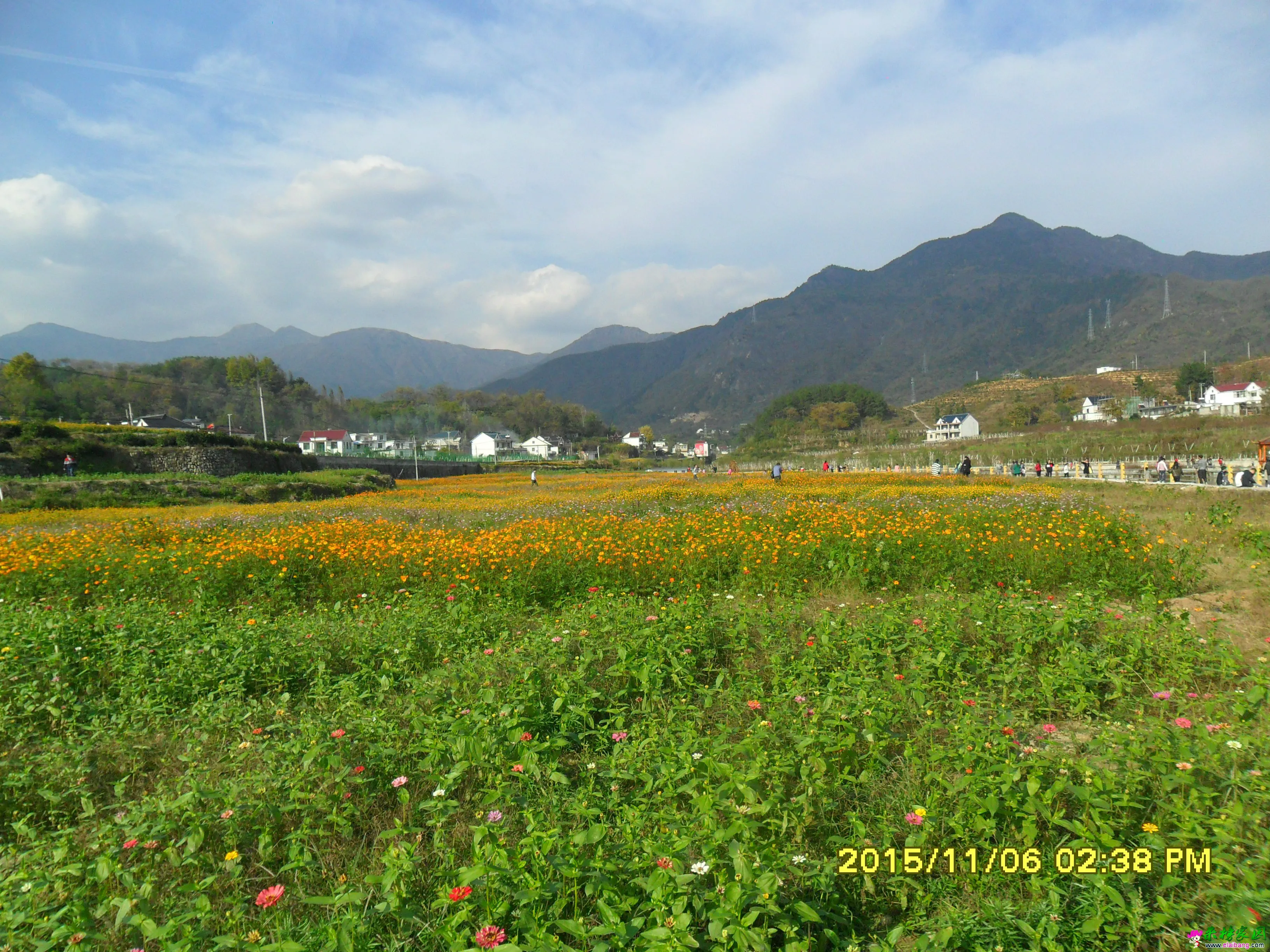 SAM_2410.webp