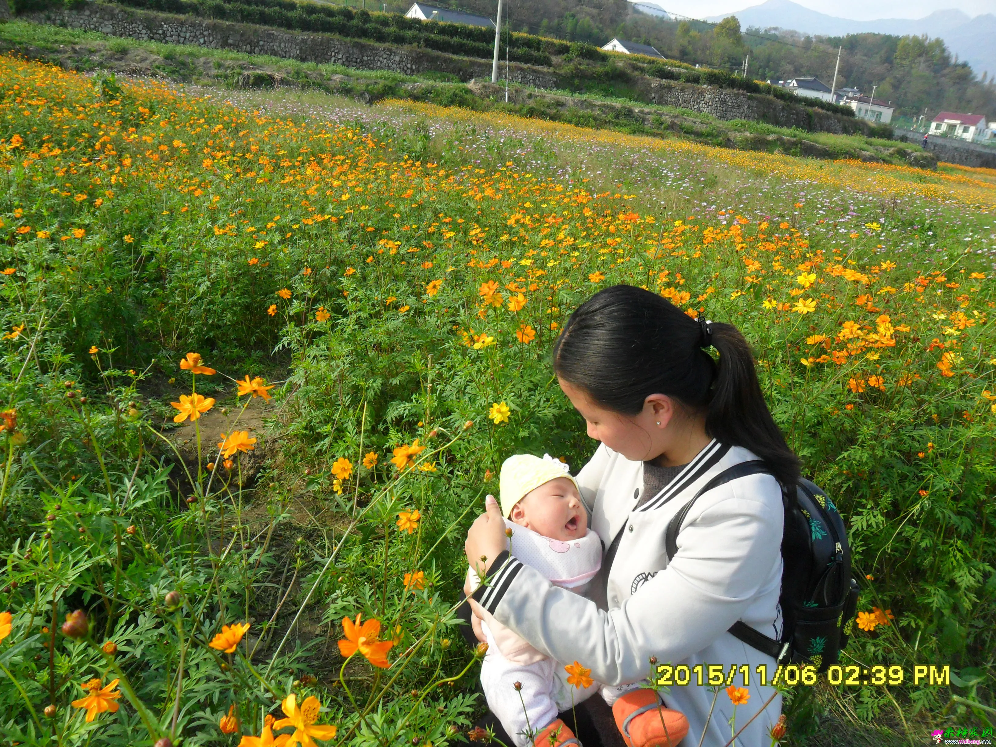 SAM_2413.webp