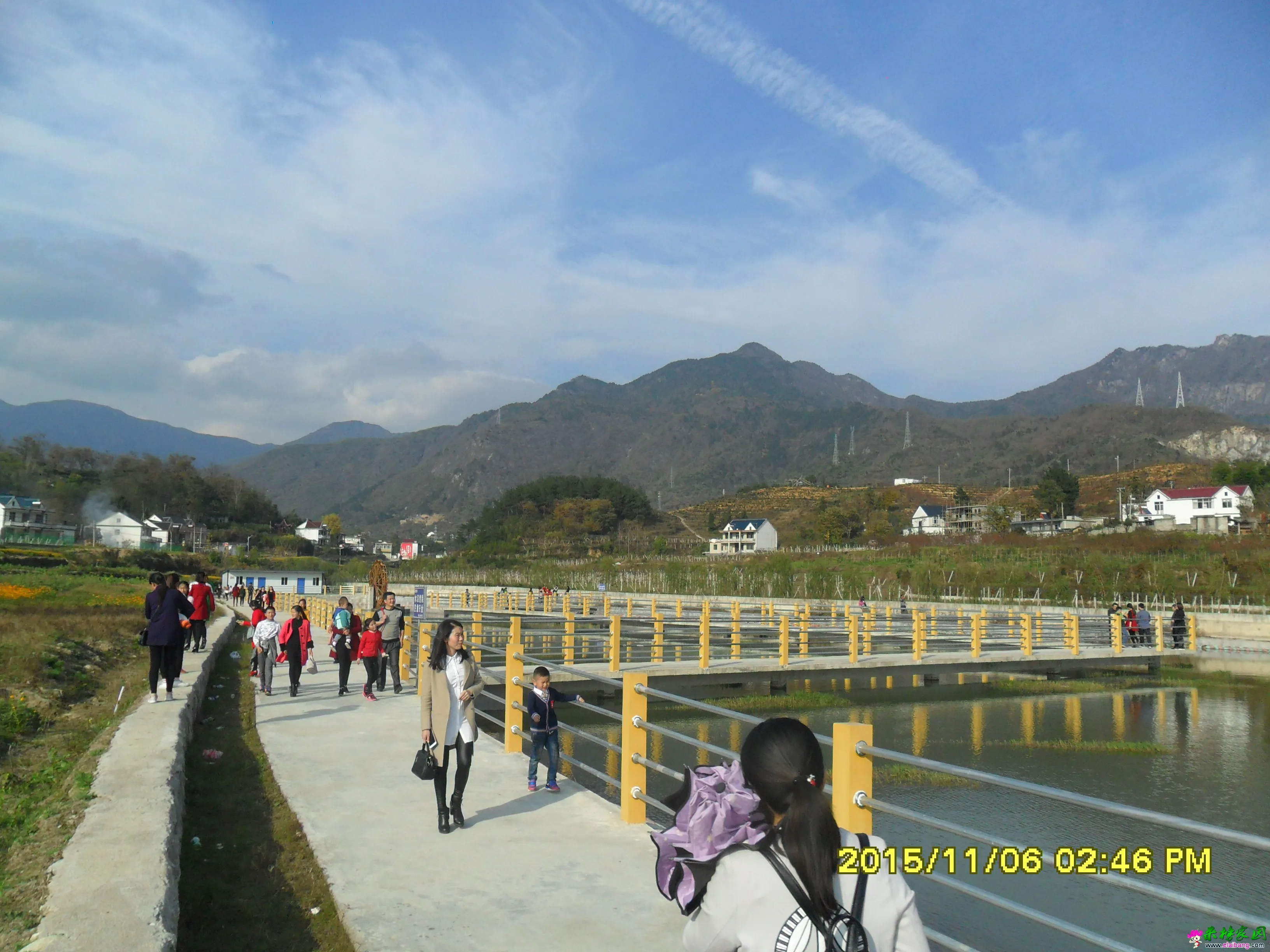SAM_2420.webp