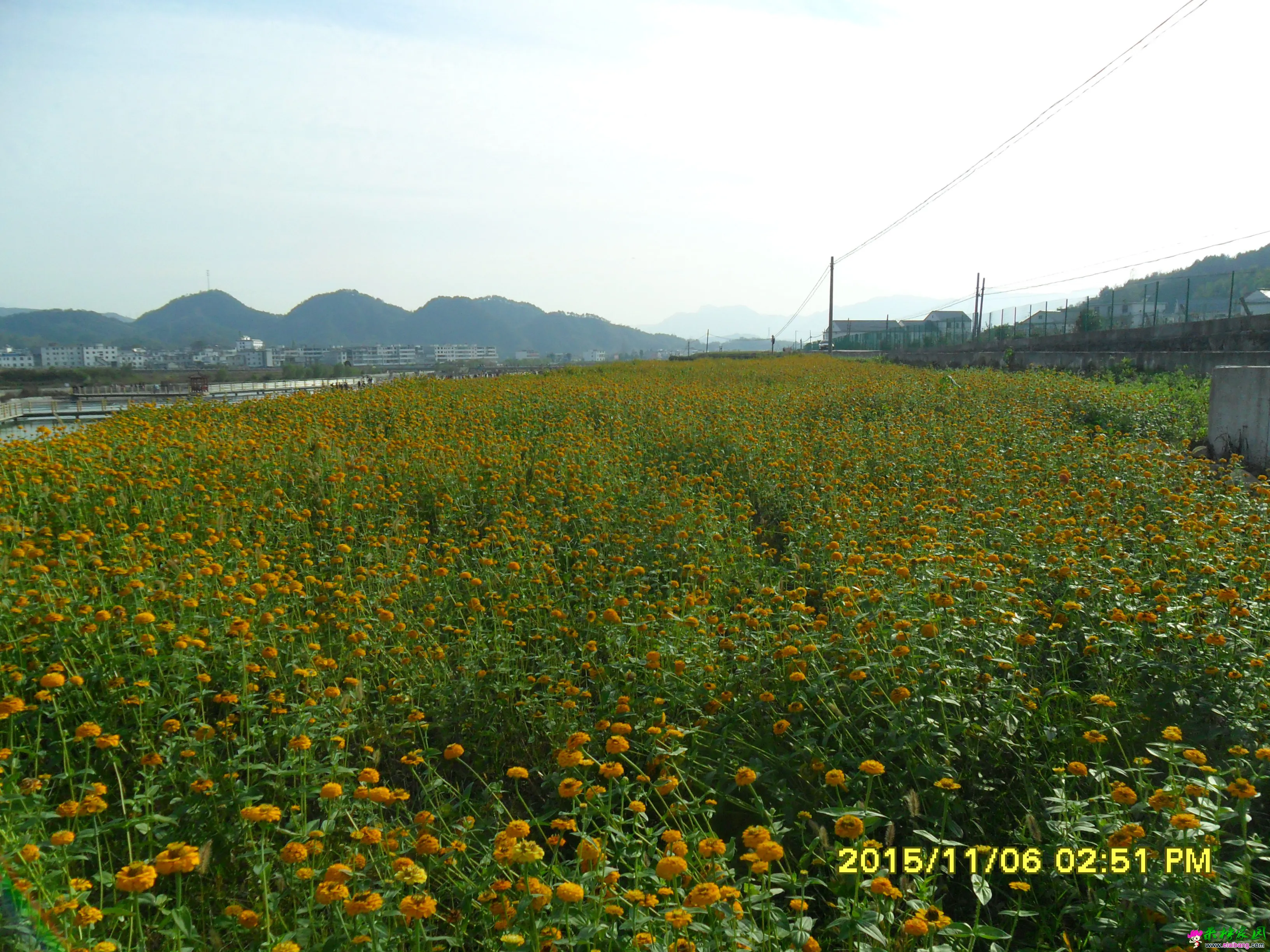 SAM_2429.webp