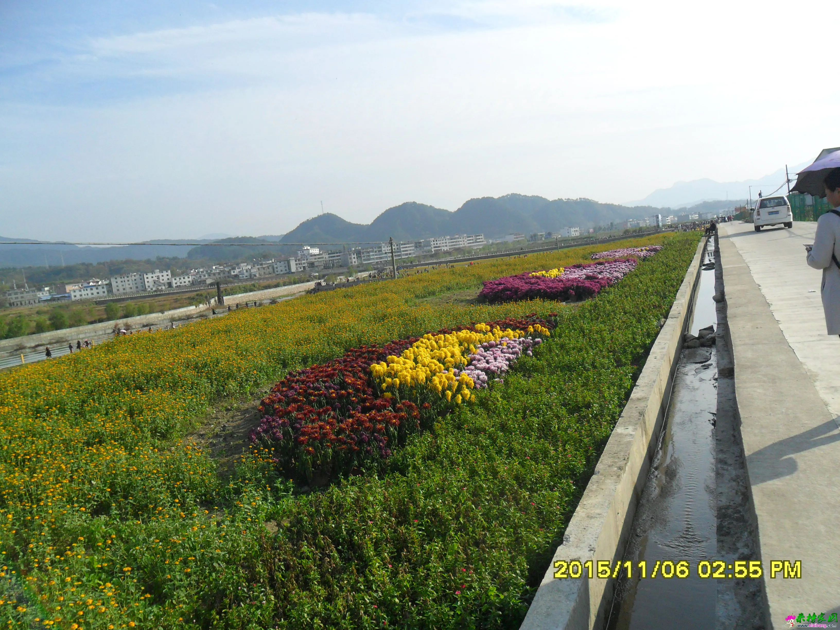 SAM_2433.webp