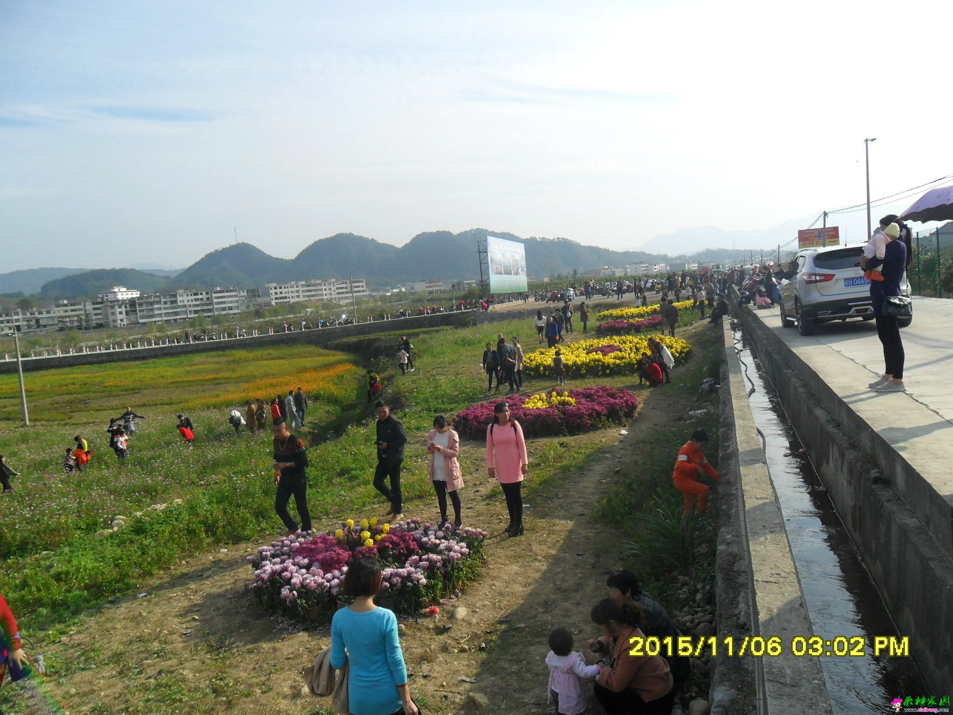 SAM_2450.webp