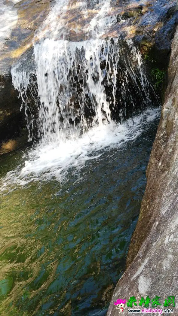 105949oh3enngv8nmngcoz.webp