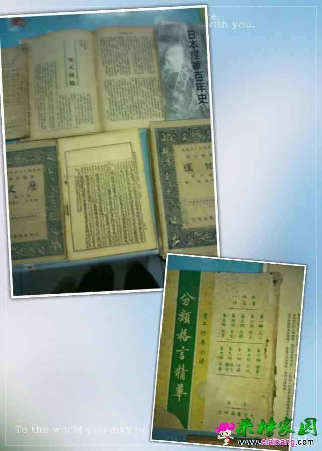 951284dda6094203b4474fd14b358198.webp