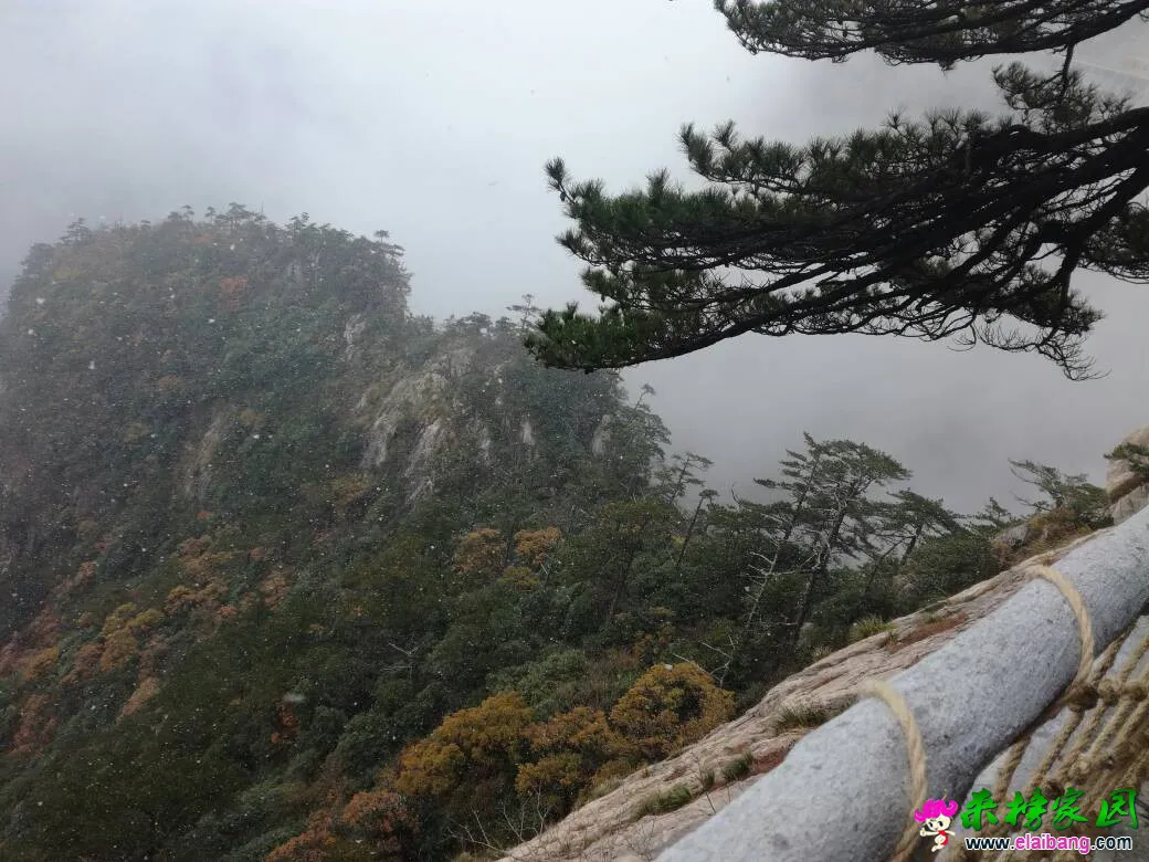 161420pk7k47ysaimmam76.webp