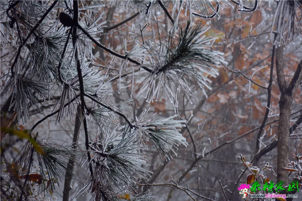 DSC_0580.webp