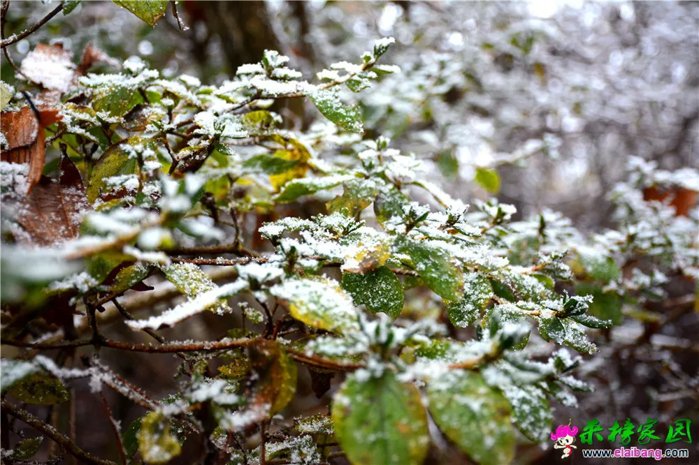 DSC_0581.webp