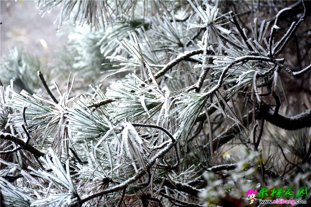 DSC_0582.webp