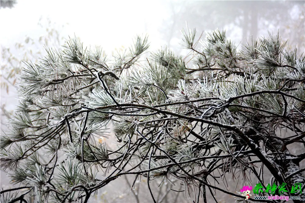 DSC_0587.webp