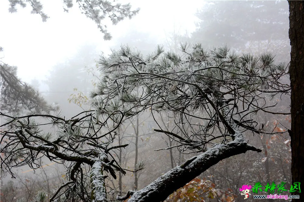 DSC_0589.webp