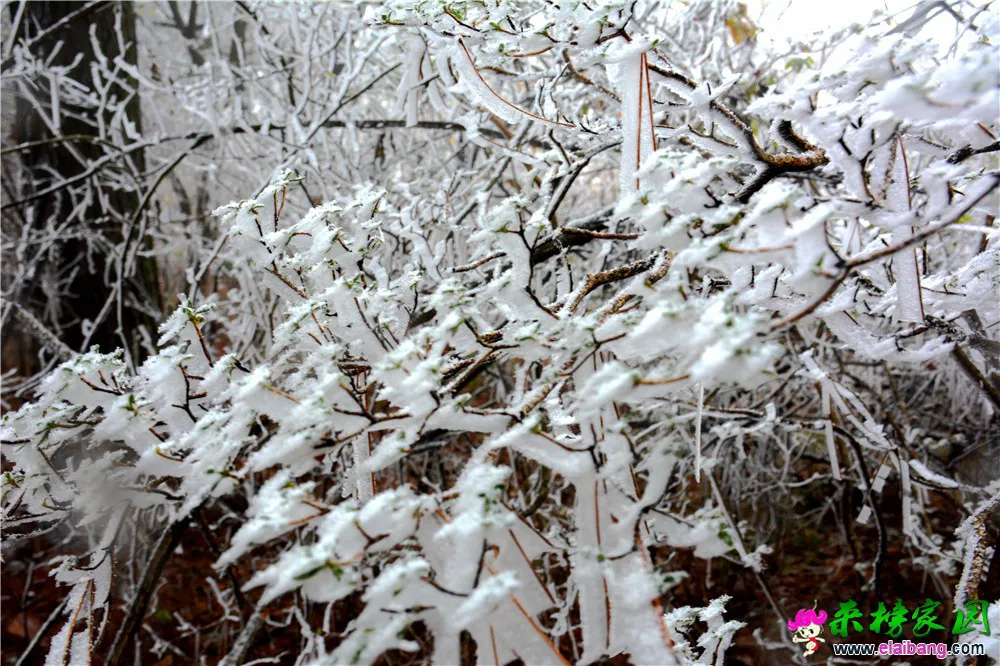 DSC_0604.webp