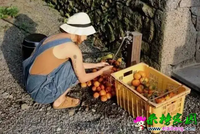 d1f5fa69a3612438fe17ef839c10b61b.webp
