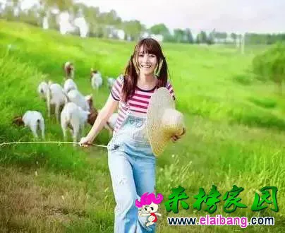 606911b2ad2930758c87c015bcfe4fd0.webp