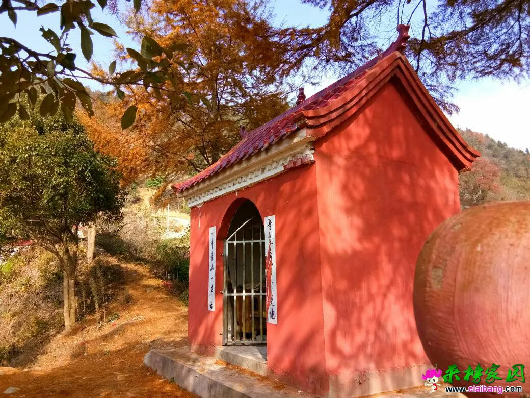 102139z0rb7cb1bn6z2lr6.webp