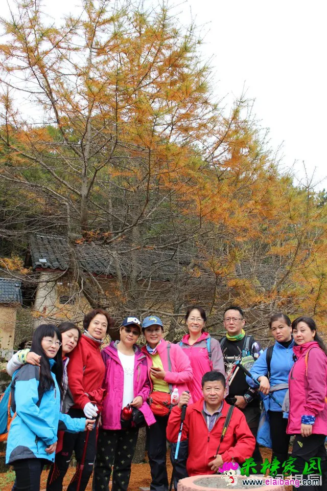 640 (2).webp