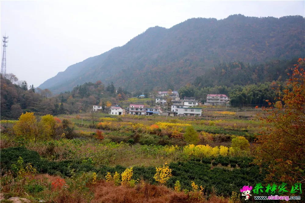DSC_0782.webp