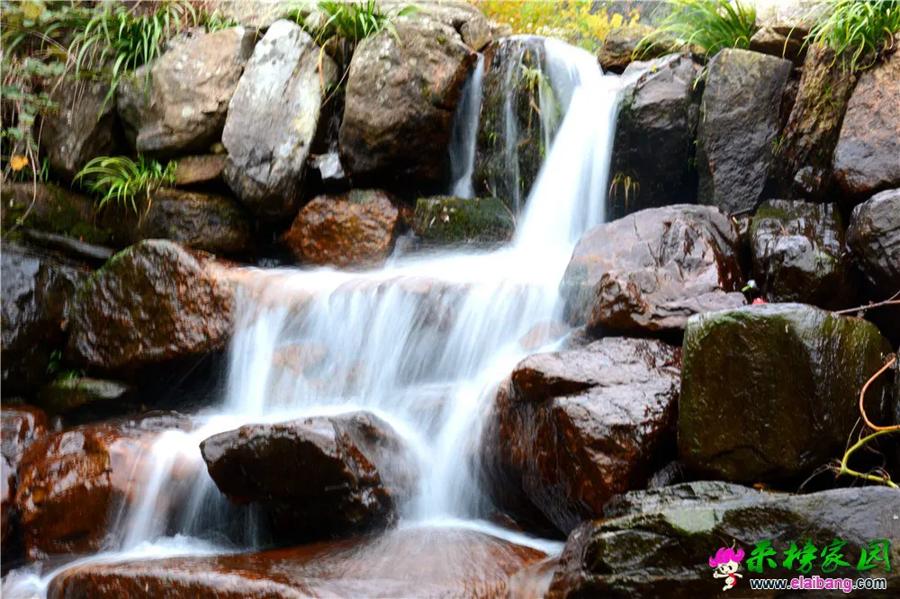 DSC_0794.webp