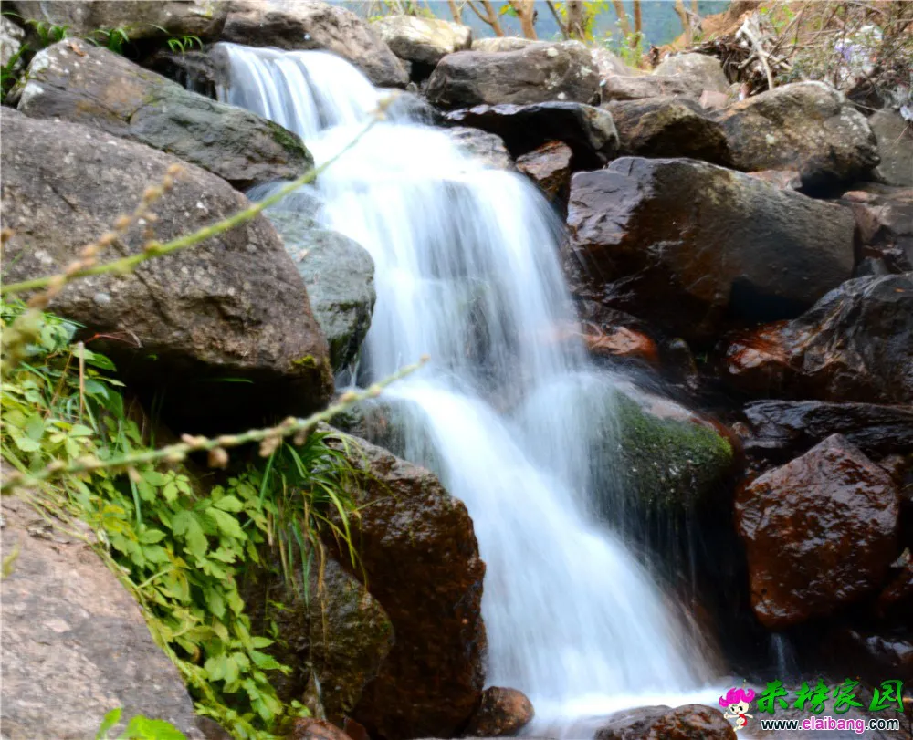 DSC_0783.webp