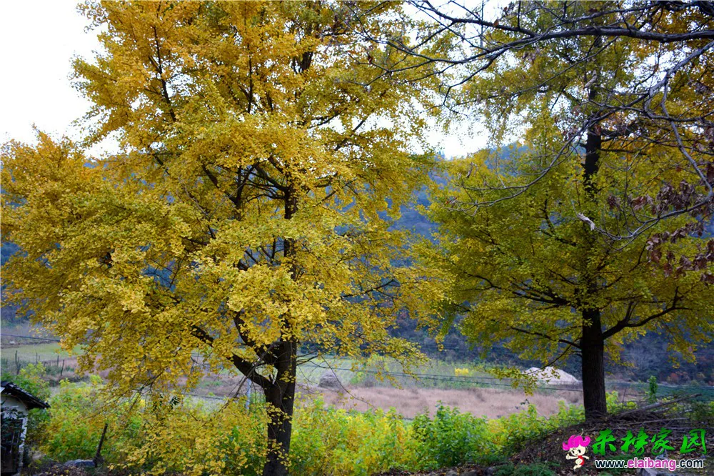 DSC_0797.webp