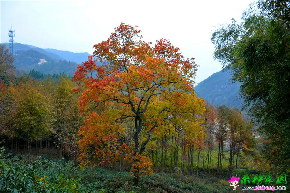 DSC_0805.webp
