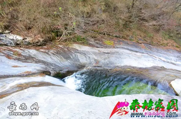 2016111519231965.webp