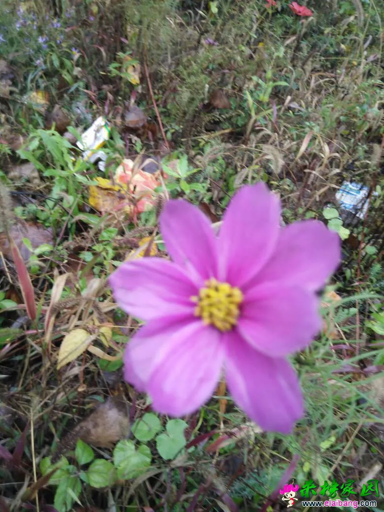 211141nbjckx03ck0gc5yb.webp
