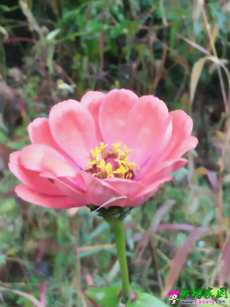 211142abyykzfc0bygvd3j.webp
