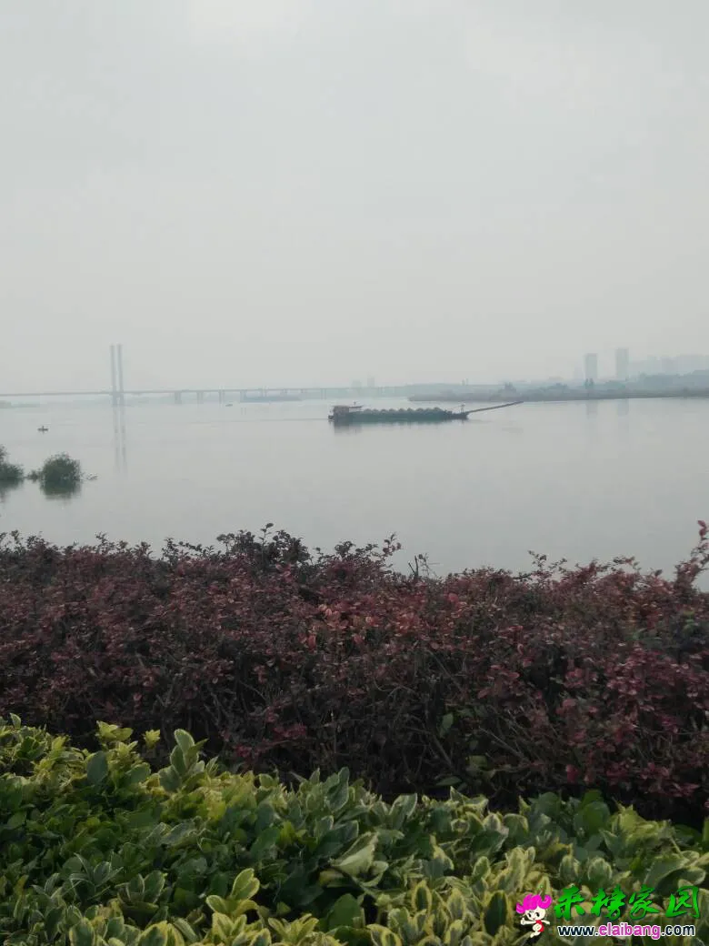 211328djgnnggjttgn7njl.webp