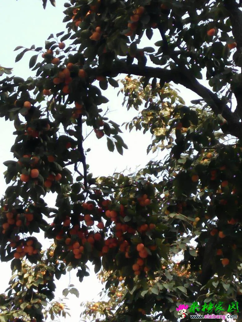 211524sginbvjtg90rznpc.webp