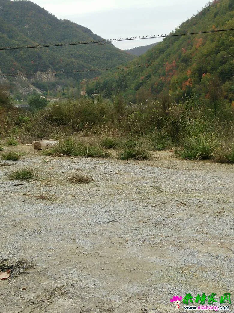 212209yqztmstc1cmut191.webp