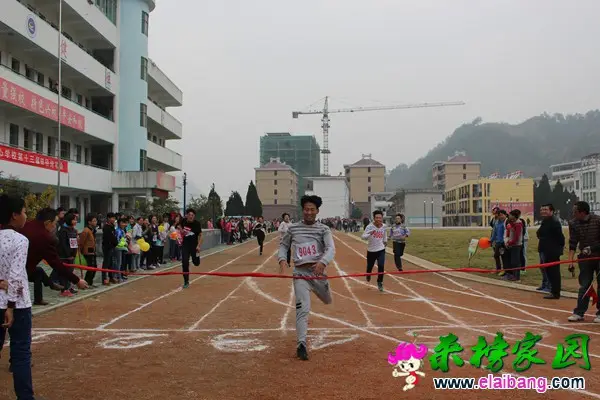 2016111616053181.webp