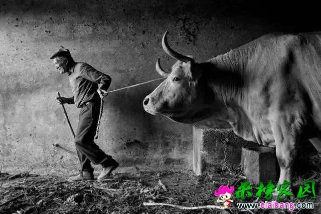 c47af9d063efe71583b73dd7f6d3a994.webp