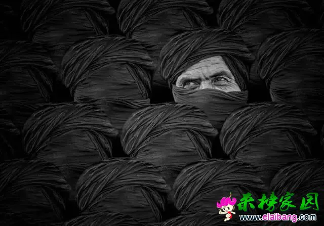 784a7500a7399c8eed25f9969ee47808.webp