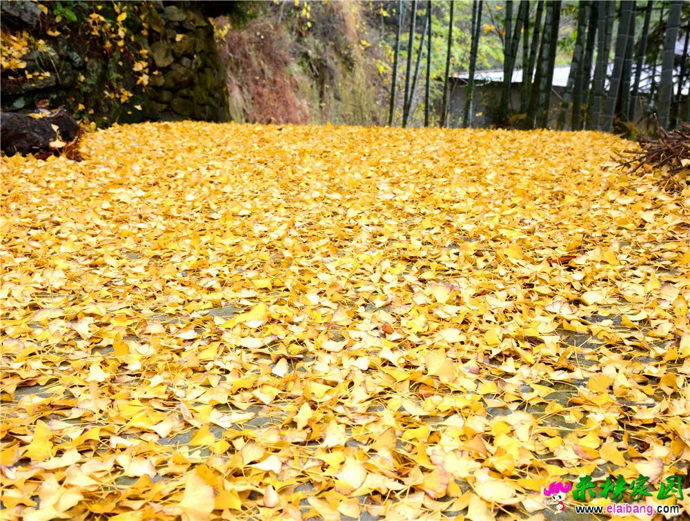 DSC_0821.webp
