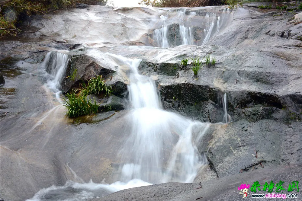 DSC_0882.webp