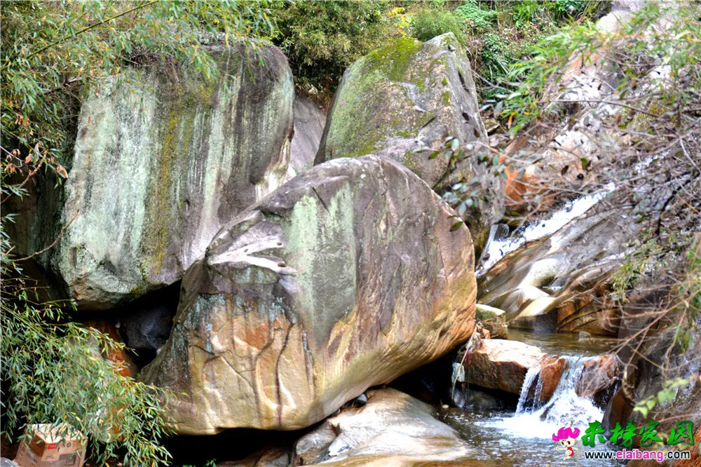 DSC_0894.webp