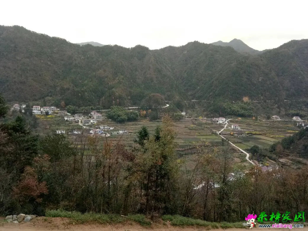 031413j67ar9su2exuas41.webp