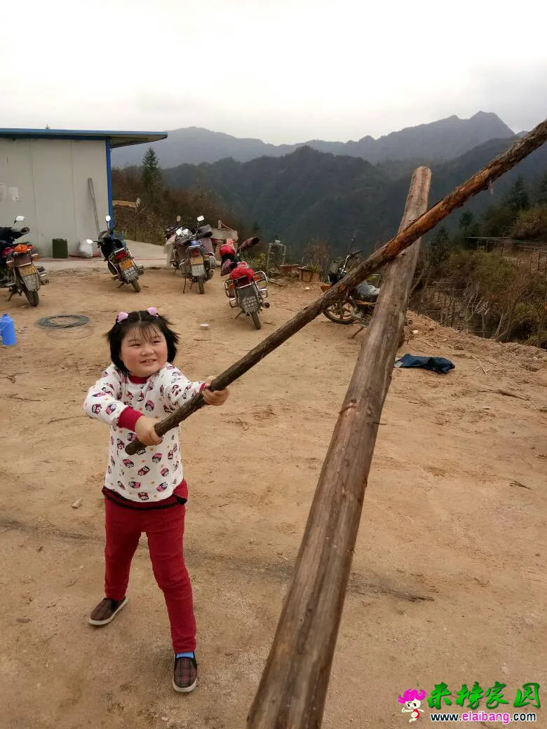 031415c6212i15ef9jw5au.webp