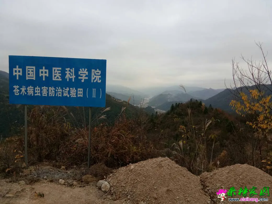 031415lqqxf7fzftp77va2.webp