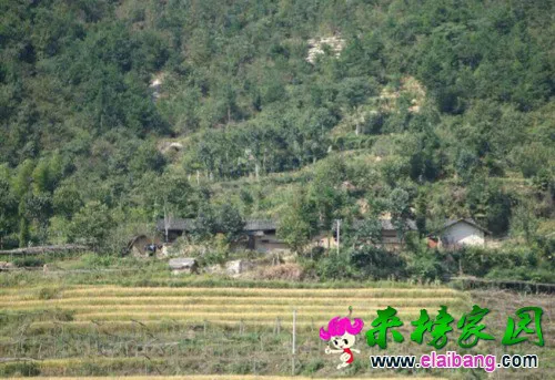 1479795507579(1).webp