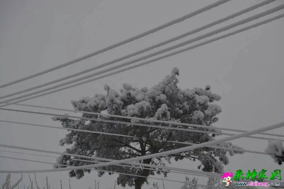 204254d25dvd6hncu6thkn.webp