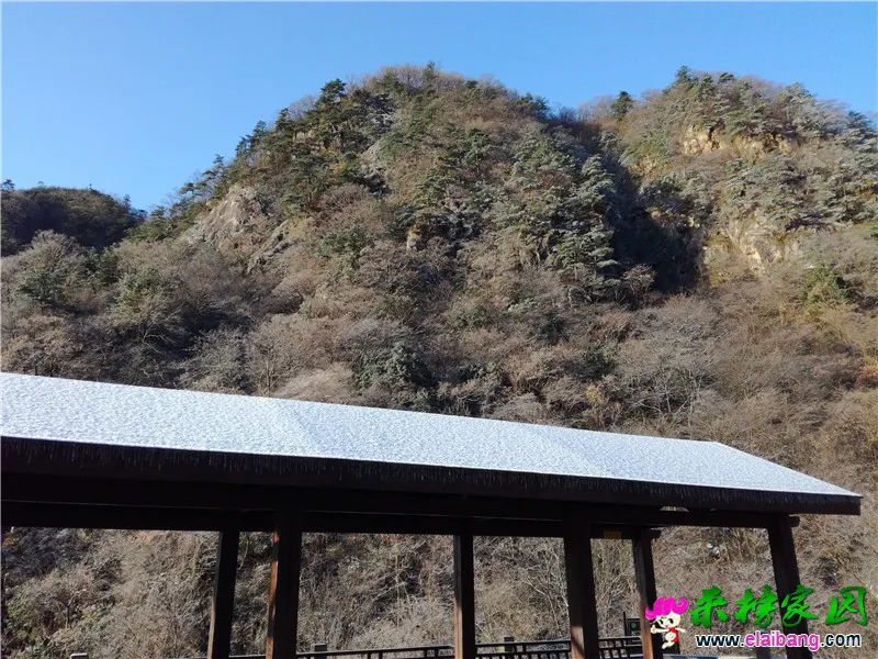 QQ图片20161124083008.webp