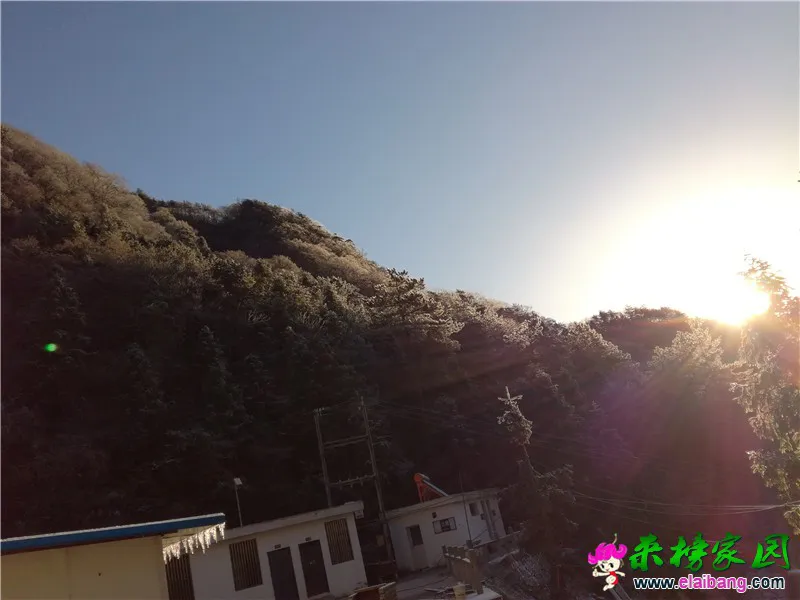 QQ图片20161124082957.webp
