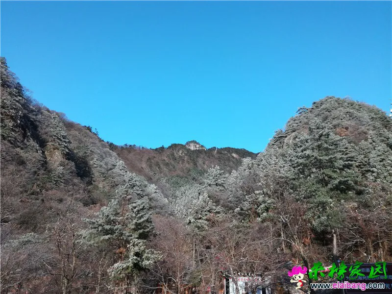 QQ图片20161124083012.webp
