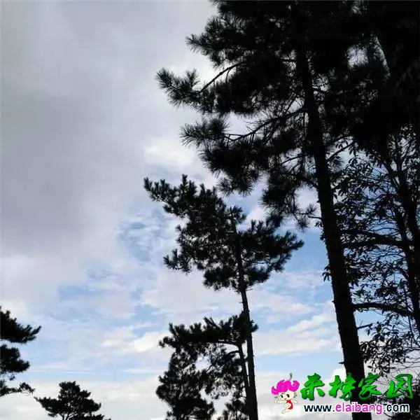 553b73722d8180abfa05c014ac4ac556.webp